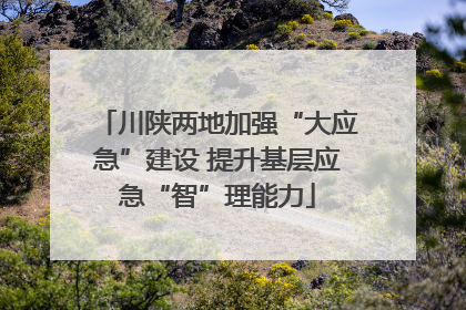川陕两地加强“大应急”建设 提升基层应急“智”理能力
