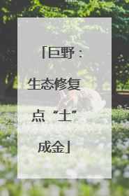 巨野：生态修复点“土”成金