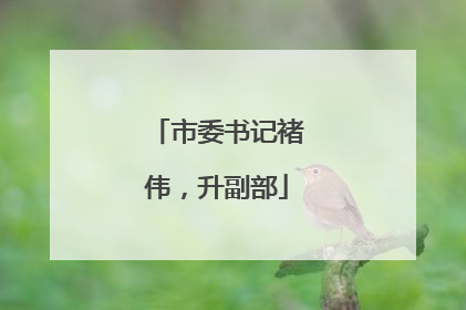 市委书记褚伟，升副部