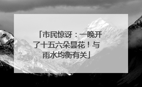 市民惊讶：一晚开了十五六朵昙花！与雨水均衡有关