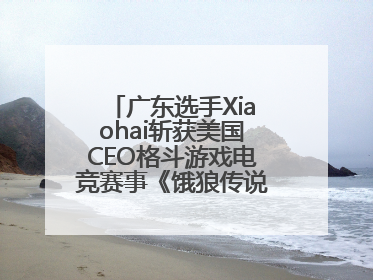 广东选手Xiaohai斩获美国CEO格斗游戏电竞赛事《饿狼传说》项目冠军
