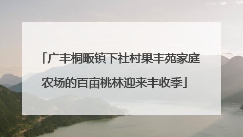广丰桐畈镇下社村果丰苑家庭农场的百亩桃林迎来丰收季