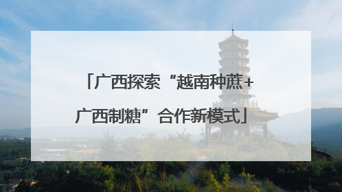 广西探索“越南种蔗+广西制糖”合作新模式