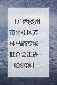 广西贺州市平桂区芳林马蹄专场推介会走进哈尔滨