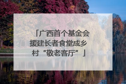 广西首个基金会援建长者食堂成乡村“敬老客厅”