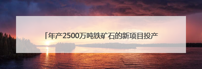年产2500万吨铁矿石的新项目投产，宝武董事长：中澳资源合作的里程碑
