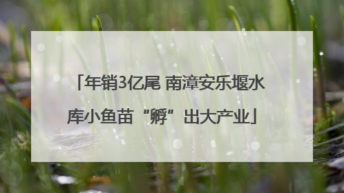 年销3亿尾 南漳安乐堰水库小鱼苗“孵”出大产业