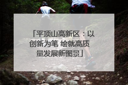 平顶山高新区：以创新为笔 绘就高质量发展新图景