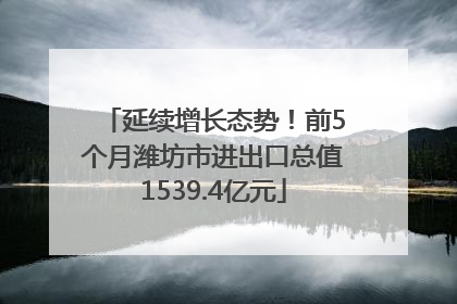 延续增长态势！前5个月潍坊市进出口总值1539.4亿元