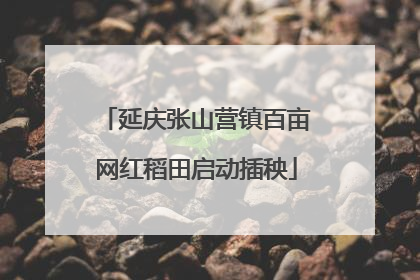延庆张山营镇百亩网红稻田启动插秧