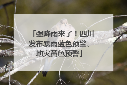 强降雨来了！四川发布暴雨蓝色预警、地灾黄色预警