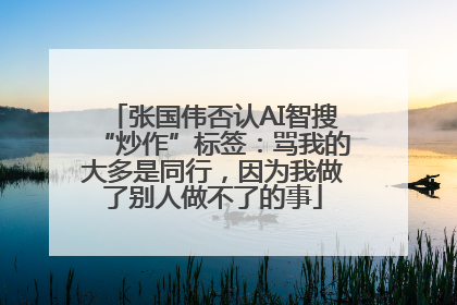 张国伟否认AI智搜“炒作”标签：骂我的大多是同行，因为我做了别人做不了的事