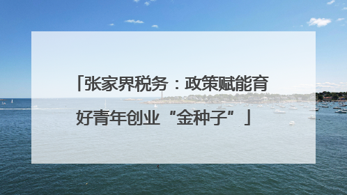 张家界税务：政策赋能育好青年创业“金种子”