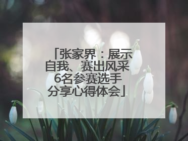 张家界：展示自我、赛出风采 6名参赛选手分享心得体会