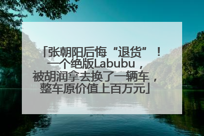 张朝阳后悔“退货”！一个绝版Labubu，被胡润拿去换了一辆车，整车原价值上百万元