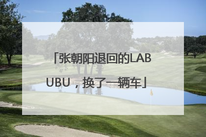 张朝阳退回的LABUBU，换了一辆车