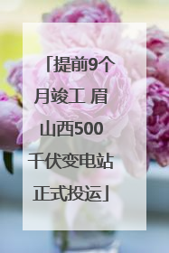 提前9个月竣工 眉山西500千伏变电站正式投运