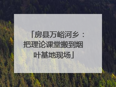 房县万峪河乡：把理论课堂搬到烟叶基地现场