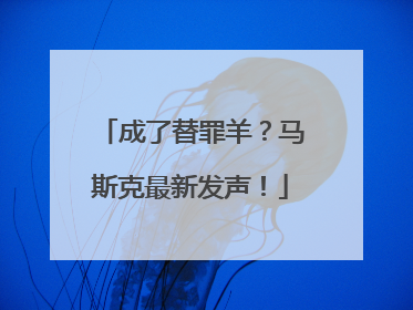 成了替罪羊？马斯克最新发声！