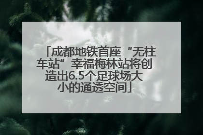 成都地铁首座“无柱车站”幸福梅林站将创造出6.5个足球场大小的通透空间