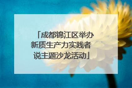 成都锦江区举办新质生产力实践者说主题沙龙活动