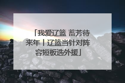 我爱辽篮 蓄芳待来年丨辽篮当针对阵容短板选外援