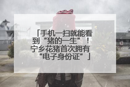 手机一扫就能看到“猪的一生”！宁乡花猪首次拥有“电子身份证”