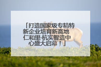 打造国家级专精特新企业培育新高地 仁和里·杭实智造中心盛大启幕！