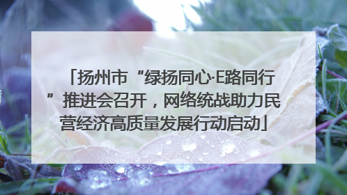 扬州市“绿扬同心·E路同行”推进会召开，网络统战助力民营经济高质量发展行动启动