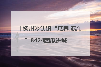 扬州沙头镇“瓜界顶流”8424西瓜进城