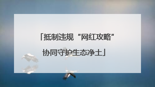 抵制违规“网红攻略” 协同守护生态净土
