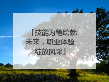 技能为笔绘就未来，职业体验绽放风采