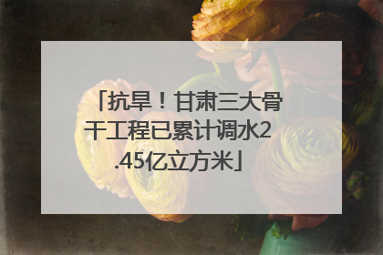 抗旱！甘肃三大骨干工程已累计调水2.45亿立方米