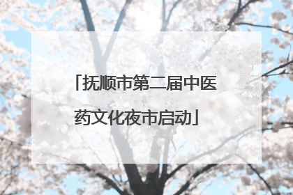 抚顺市第二届中医药文化夜市启动