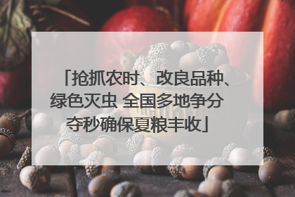 抢抓农时、改良品种、绿色灭虫 全国多地争分夺秒确保夏粮丰收