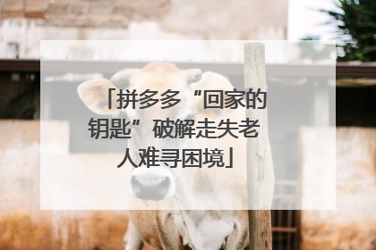 拼多多“回家的钥匙”破解走失老人难寻困境