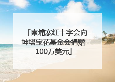 柬埔寨红十字会向坤塔宝花基金会捐赠100万美元