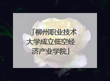 柳州职业技术大学成立低空经济产业学院