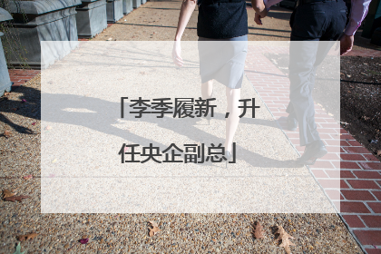 李季履新，升任央企副总