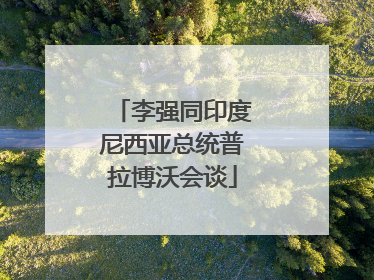 李强同印度尼西亚总统普拉博沃会谈