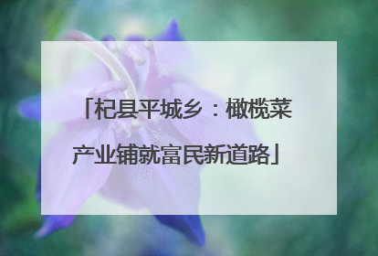 杞县平城乡：橄榄菜产业铺就富民新道路