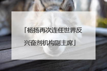 杨扬再次连任世界反兴奋剂机构副主席