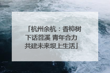 杭州余杭：香樟树下话苕溪 青年合力共建未来坝上生活