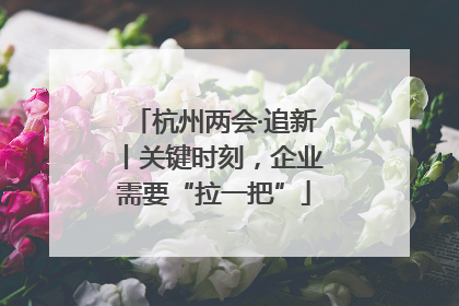 杭州两会·追新丨关键时刻，企业需要“拉一把”