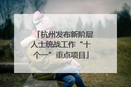 杭州发布新阶层人士统战工作“十个一”重点项目