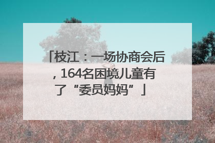 枝江：一场协商会后，164名困境儿童有了“委员妈妈”