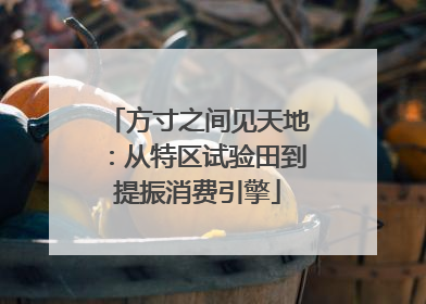 方寸之间见天地：从特区试验田到提振消费引擎