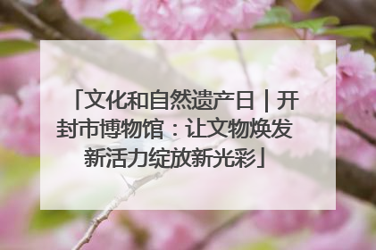 文化和自然遗产日｜开封市博物馆：让文物焕发新活力绽放新光彩