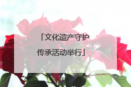 文化遗产守护传承活动举行