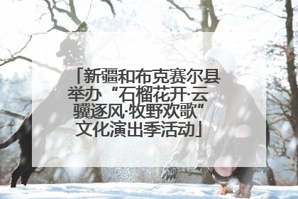 新疆和布克赛尔县举办“石榴花开·云骥逐风·牧野欢歌”文化演出季活动